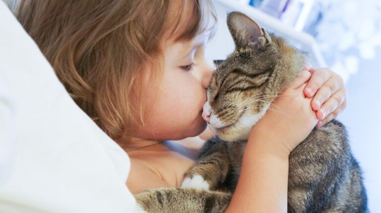 Cat owners could be at higher risk of schizophrenia, study suggests, but more research needed