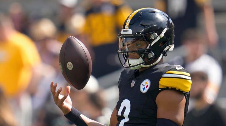 Steelers' Justin Fields reveals which teams expressed interest in acquiring his services this past offseason