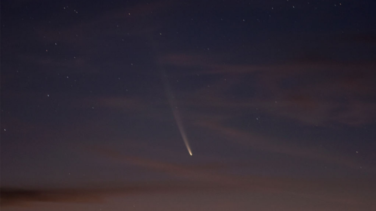 Comet visible from Earth for first time in 80,000 years: 'Most anticipated comet of the year'