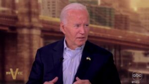 President Biden says he didn't 'sense' reluctance from Democrats, insists he would have beat Trump