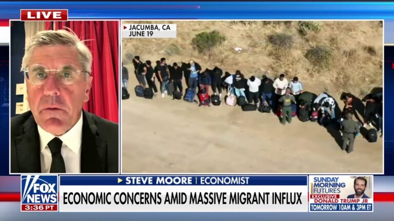 Trump will clean up the border quickly if he wins in November: Steve Moore