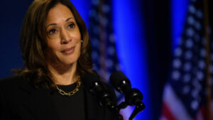 MSNBC's Stephanie Rhule calls out Harris' tax hike plans and their lackluster potential to solve deficit