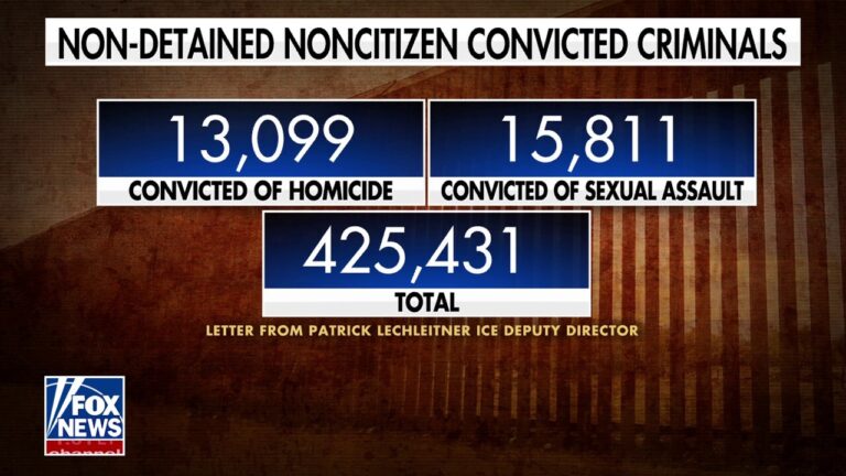 Over 13K illegal immigrants convicted of murder have been released into US