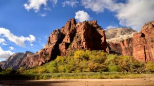 Man falls 200 feet to his death at Utah's Zion National Park