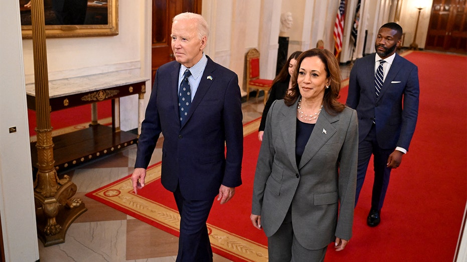 'Dumb thing for her to do': Rift between Harris and Biden camps causing internal disruptions, sources say