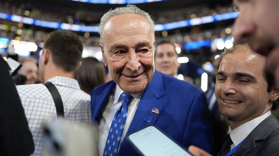 Schumer, Dems pre-election report urges voters to be wary of 'misinformation' about results