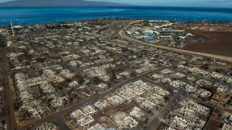 Cause of Maui wildfire that killed 102 revealed