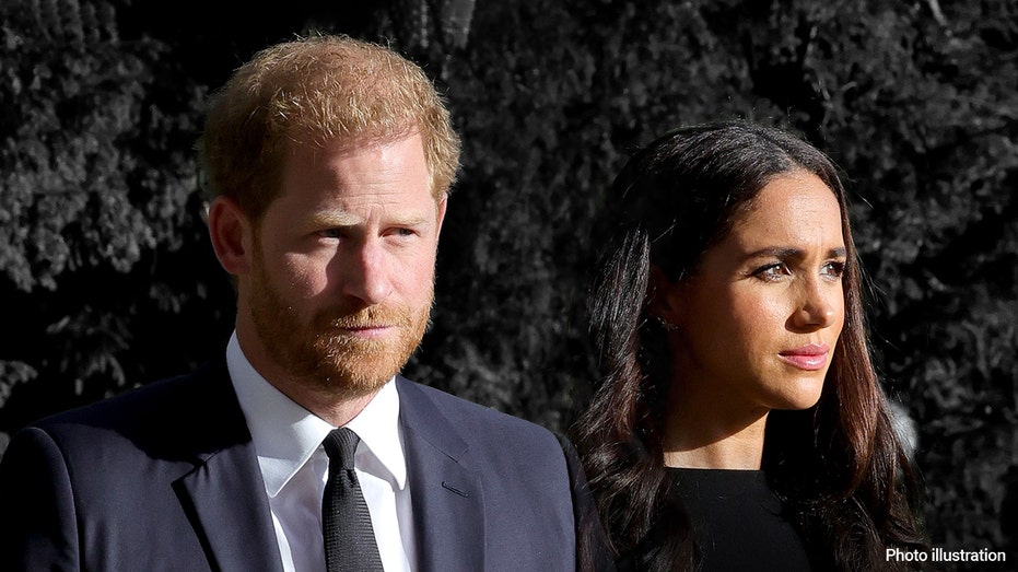 Meghan Markle slammed for bad judgment, Prince Harry called a 'lamb to the slaughter' in scathing critique