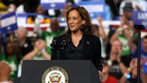 Kamala Harris' 'joy' is quietly turning to panic for Democrats