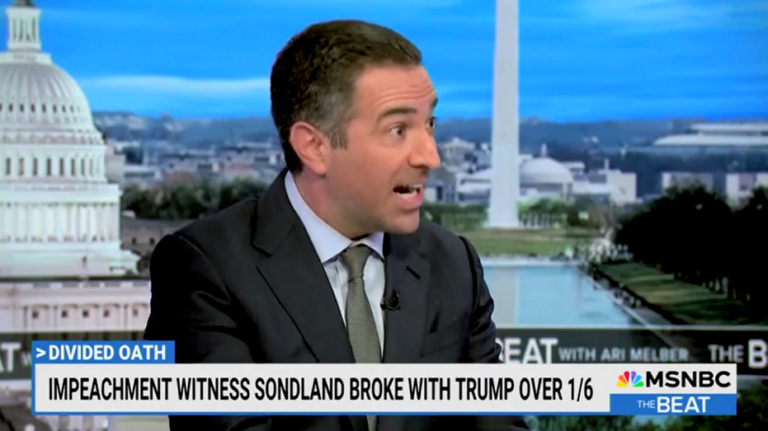 MSNBC host shocked as impeachment witness says Trump regained his support: 'So striking!'