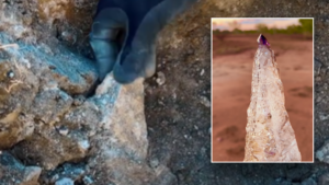 Man stumbles across gem worth thousands hidden in dirt: 'It's like nothing else'