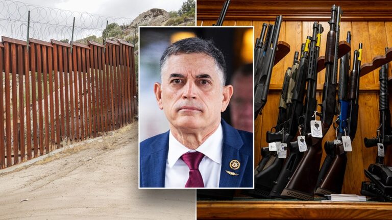 'No guns for illegal aliens' bill rolled out by House GOP lawmaker