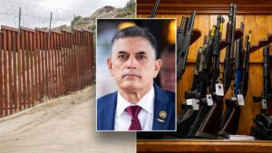 GOP lawmaker unveils effort to ban illegal immigrants from using IDs to buy guns