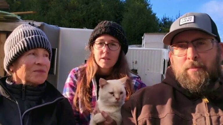 Cat returns to North Carolina family 8 days after floating away in Helene flooding: 'Used all his 9 lives'