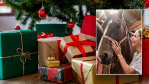 Holiday gift guide for the horseback-riding equestrian lover in your life