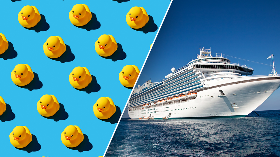 Cruise passengers go wild hiding rubber ducks on ships in viral game of hide-and-seek