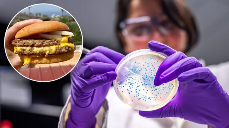 E. coli outbreak linked to McDonald’s burgers: How to spot the symptoms