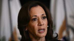 Harris support for EVs could tank campaign in critical swing state, expert says