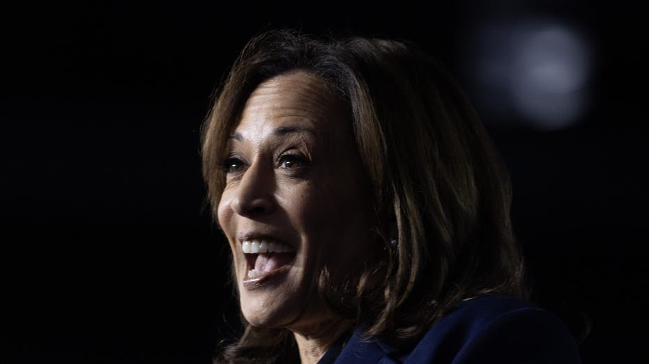 3 ways Kamala Harris promotes chaos with her energy message