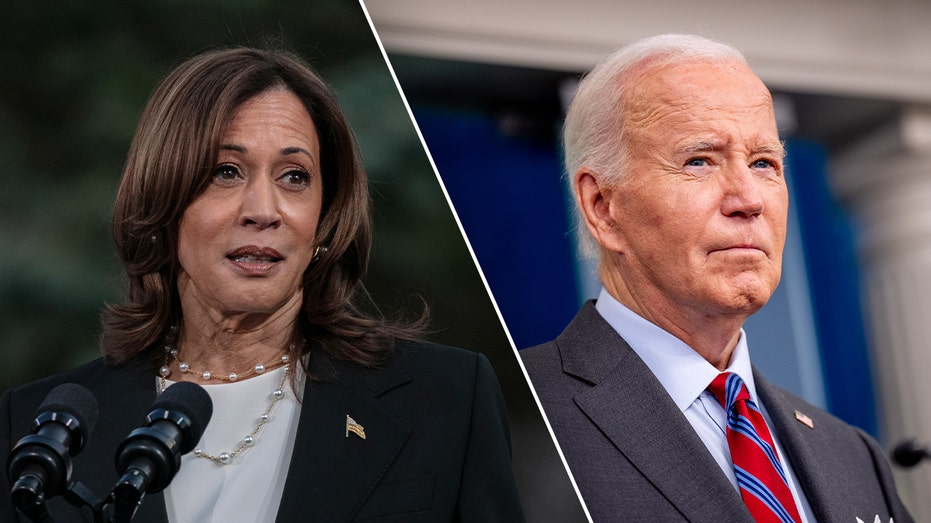 Kamala Harris campaign frustrated by recent Biden media appearances, says CNN reporter