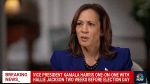 Harris claims she was 'honest with the American people' about Biden's mental acuity: 'Capable in every way'