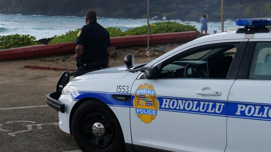 Hawaiian fast-food worker fatally stabbed during altercation with customer: reports