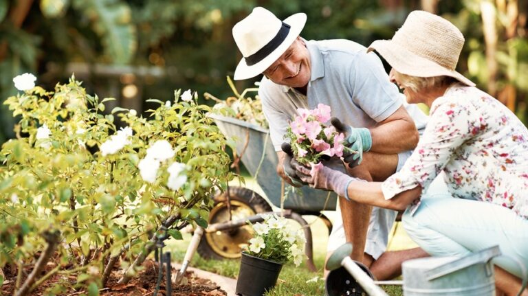 To reduce dementia risk, seniors should take up this outdoor activity, study suggests