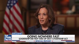 Kamala Harris appears frustrated by immigration question: 'You have to let me finish'