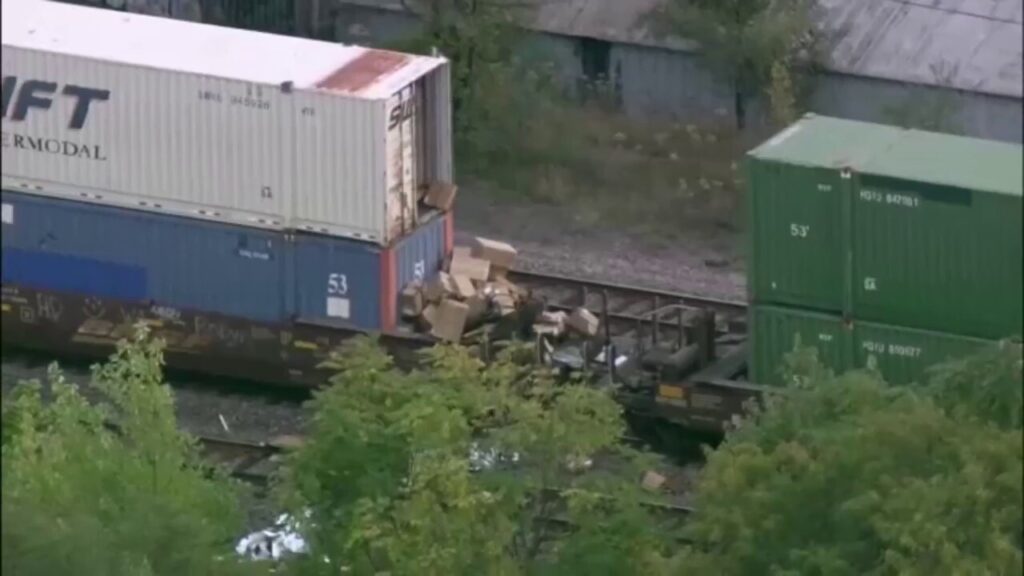 Mob of up to 30 armed looters ransack freight train in Chicago