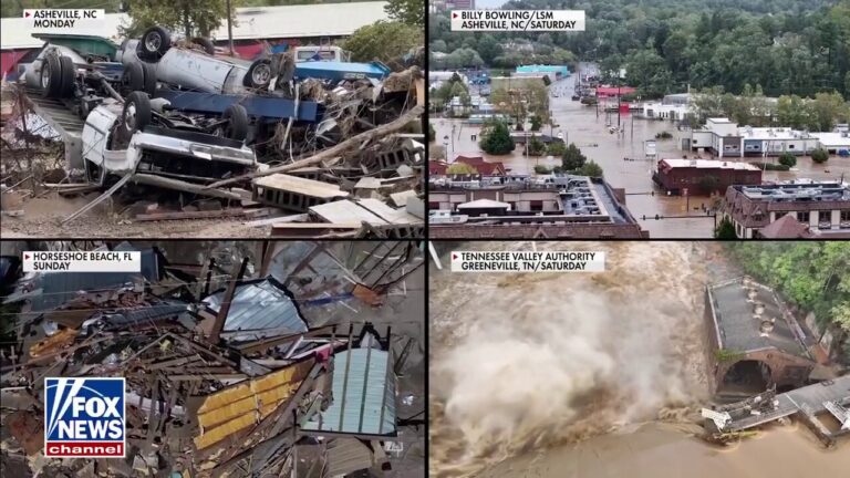 Navy veteran clutches tree for seven hours before being swept away by Helene flooding