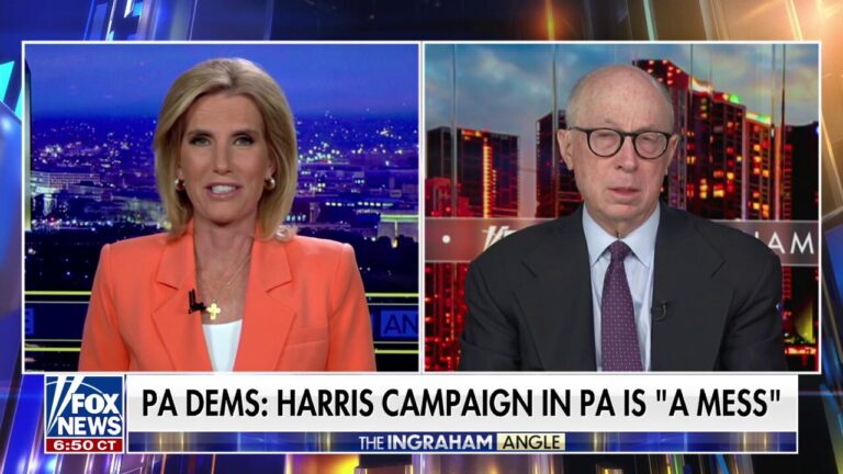 Democratic strategist says ‘blue wall’ of some swing states is ‘eroding’