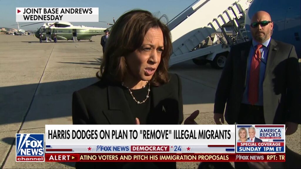 Kamala Harris' border policies are a 'magnet' for illegal migrants: Paul Perez