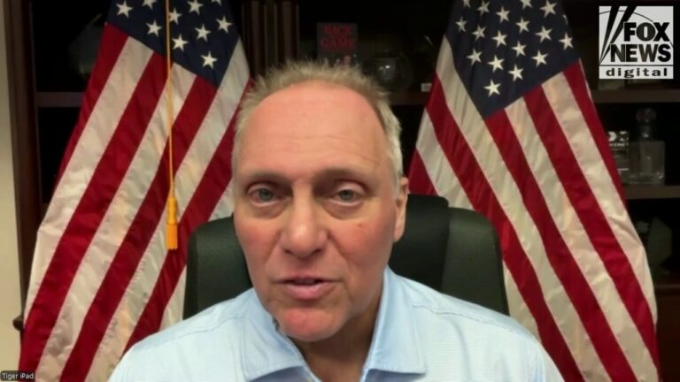 House Majority Leader Steve Scalise speaks with Fox News Digital on 2024 election