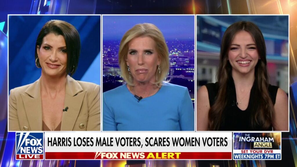 Dana Loesch calls out Democrats ‘fear-mongering’ women over abortion