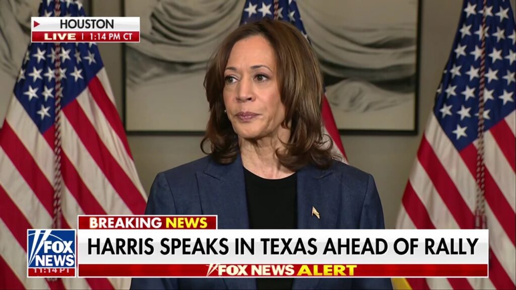 Kamala Harris rips Trump for ‘constantly demeaning and belittling’ the American people