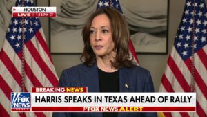 Kamala Harris rips Trump for ‘constantly demeaning and belittling’ the American people