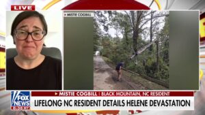 Lifelong North Carolina resident details devastation from Helene: 'We need so much help'