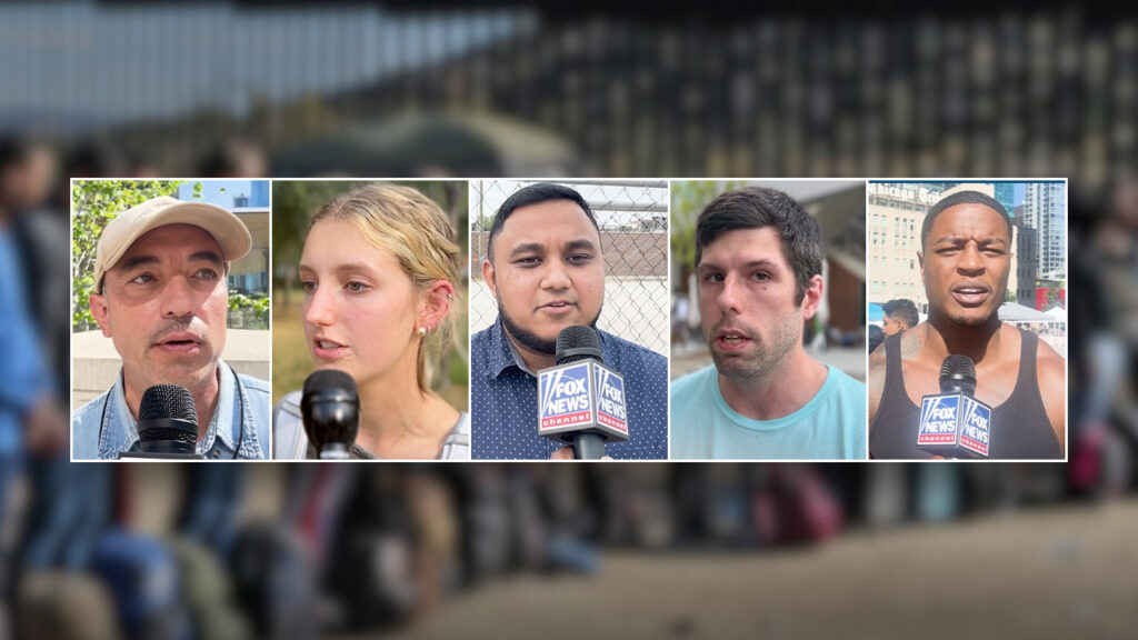 'SHUT DOWN THE BORDERS, BUILD THE WALL': Voters grapple with illegal immigration fallout