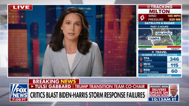 FEMA is more focused on bureaucracy than helping impacted Americans: Tulsi Gabbard