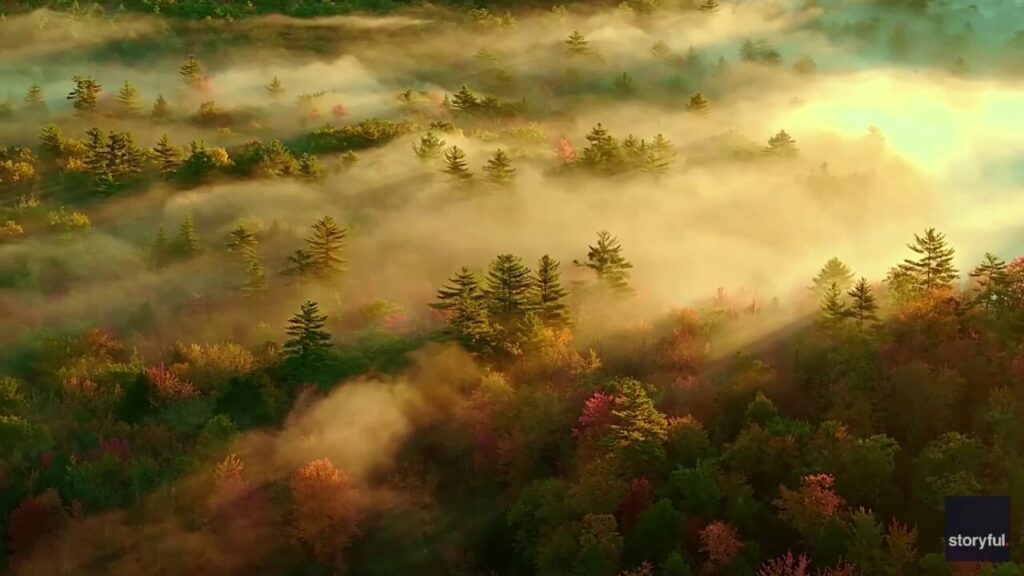 Fall foliage in Maine peeks through morning fog