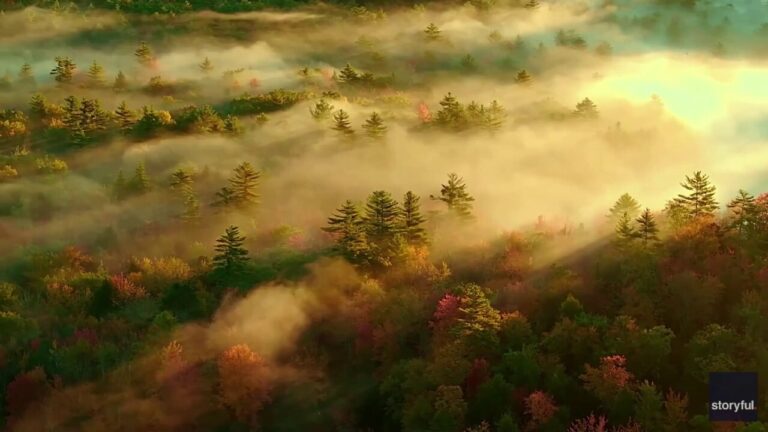 Fall foliage in Maine peeks through morning fog