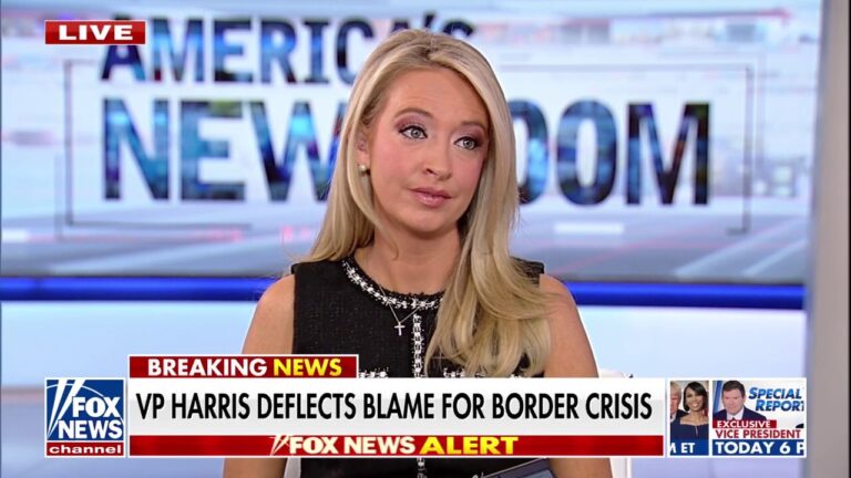 Kayleigh McEnany: Trump should be trying to attract suburban women's support