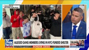 Young migrant gang tied to Times Square robberies: 'Brazen, ruthless'