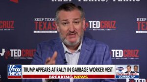 Democrats' strategy is based on ‘lying’ to us, says Sen. Ted Cruz