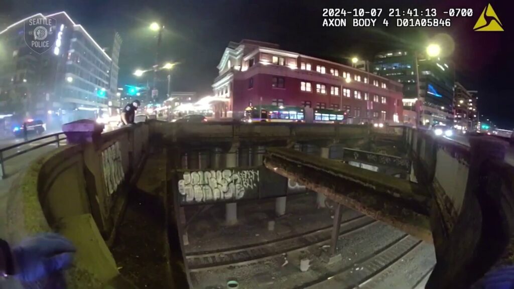 Seattle police rescue man who fell off ledge near train tracks