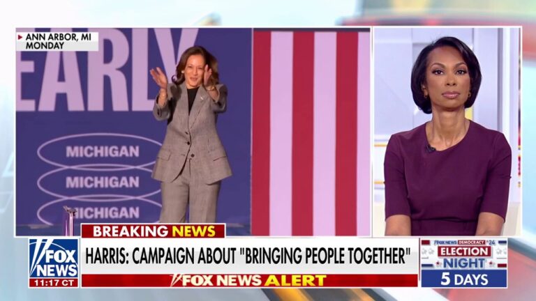 Kamala Harris criticized for 'shallow' calls for unity