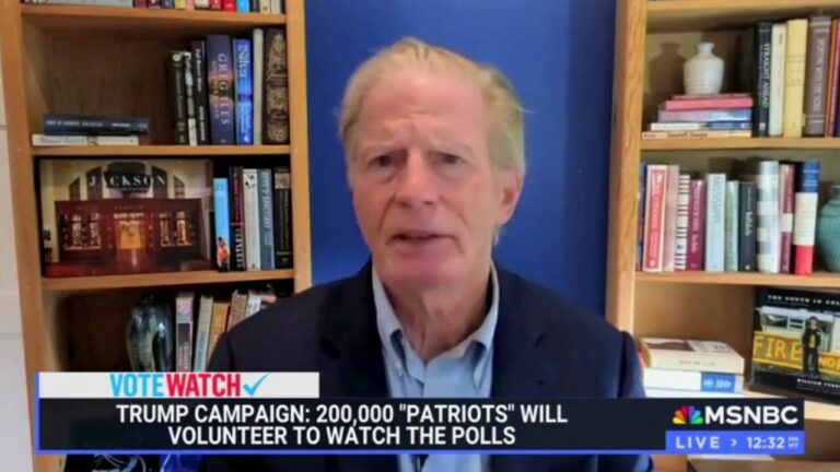 Strategist claims on MSNBC that Trump supporters will 'violently disrupt' election counts