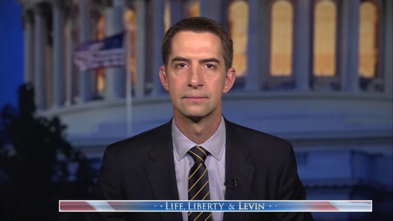 Sen. Tom Cotton calls to 'back Israel to the hilt' and let them win