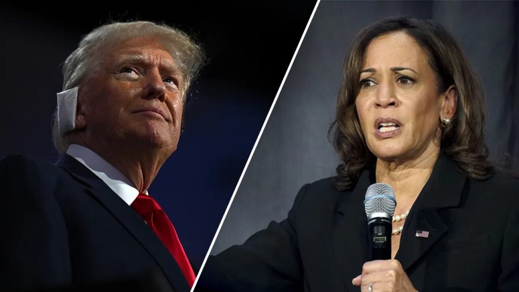 Ex-Clinton pollster 'disappointed' Kamala Harris is using 'fascist, Hitler' language against Trump