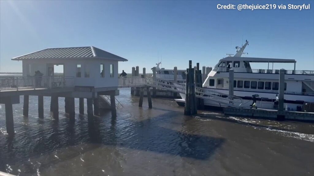 Georgia dock walkway collapse aftermath caught on video